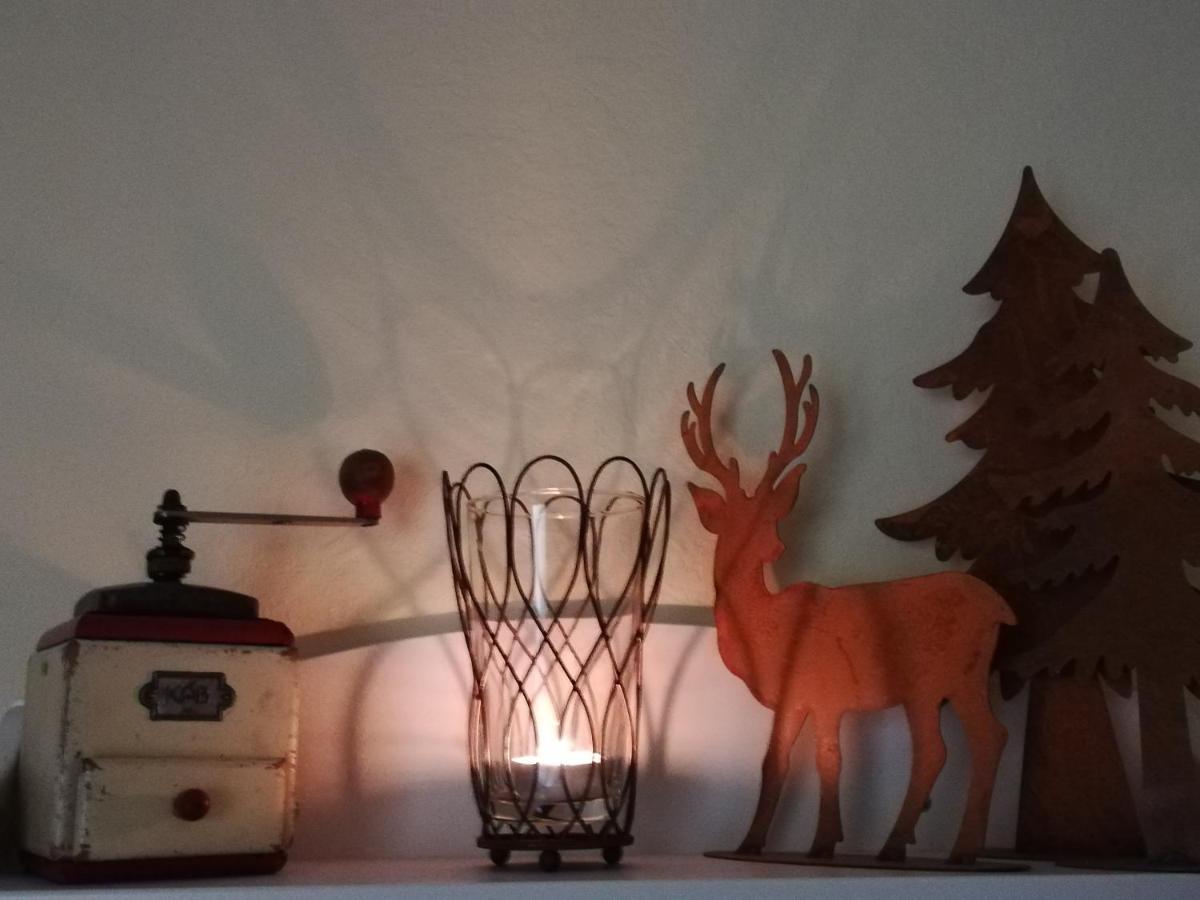 Eifelpause Apartment Plaidt Екстериор снимка